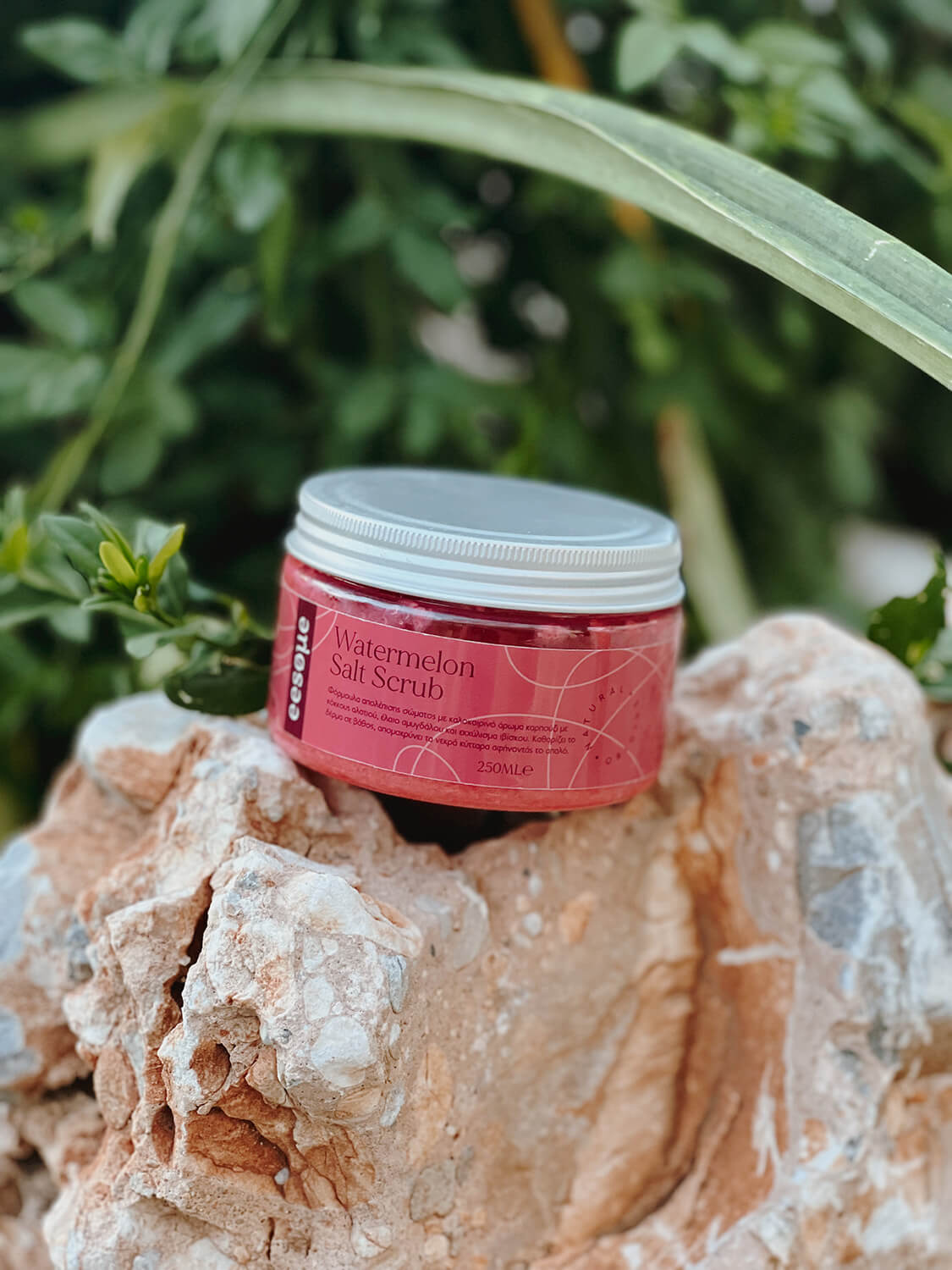 Watermelon Salt Scrub Watermelon Salt Scrub