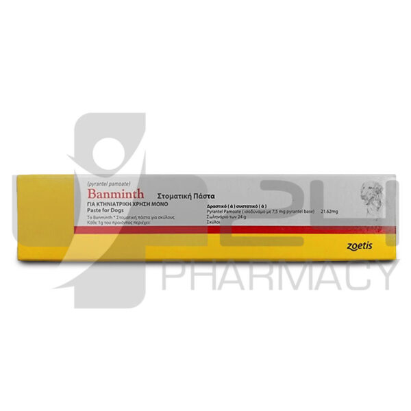 BANMINTH ΣΤΟΜΑΤΙΚΗ ΠΑΣΤΑ ΓΙΑ ΣΚΥΛΟΥΣ 24GR